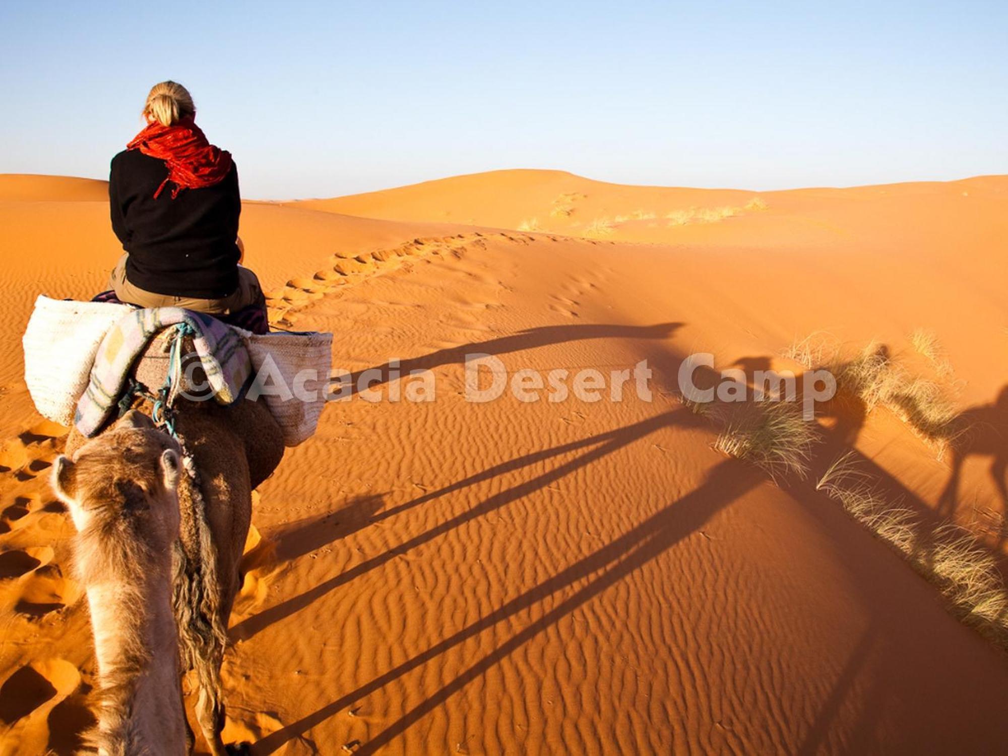 Hotel Acacia Desert Camp Merzouga Zewnętrze zdjęcie