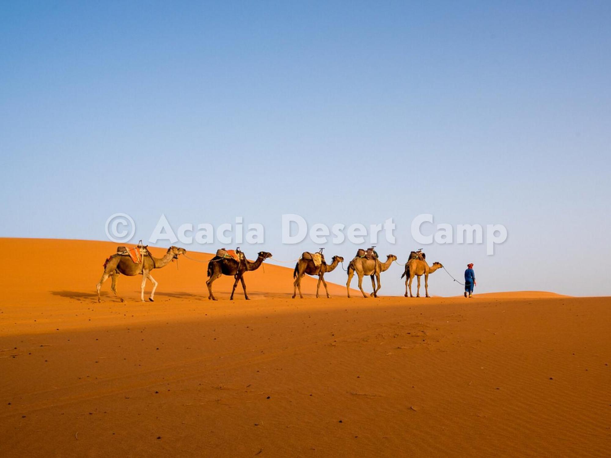 Hotel Acacia Desert Camp Merzouga Zewnętrze zdjęcie